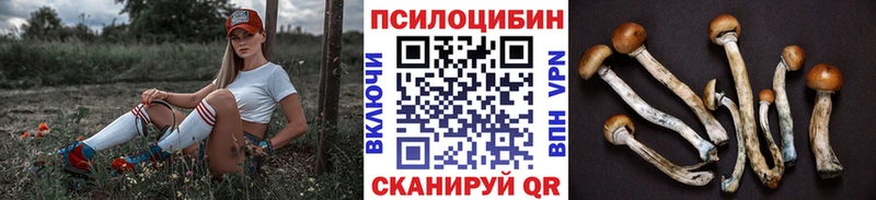 блэк спрут ссылка  дарк нет наркотические препараты  Южа  Галлюциногенные грибы Psilocybine cubensis  наркошоп 